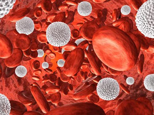 лейкоциты в крови у ребёнка