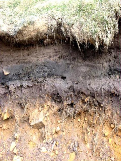 гранулометрический состав почвы