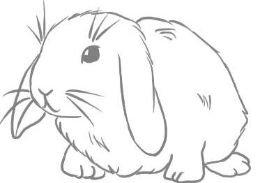 как нарисовать кролика поэтапно