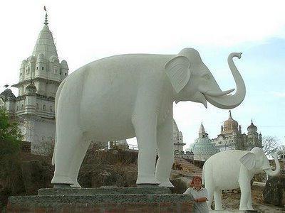 белый слон