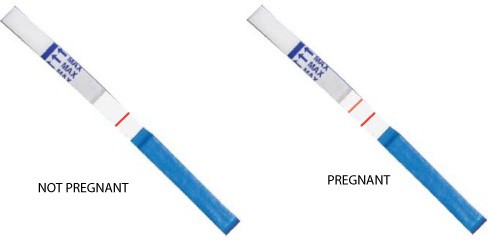 могут ли ошибаться тесты на беременность при задержке