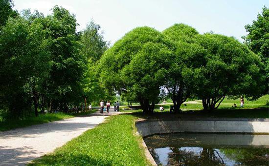 Площадь Коломенского парка