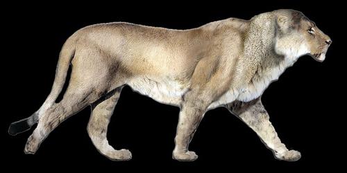 доисторические хищники американский лев