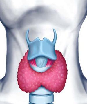 тиреоидит щитовидной железы