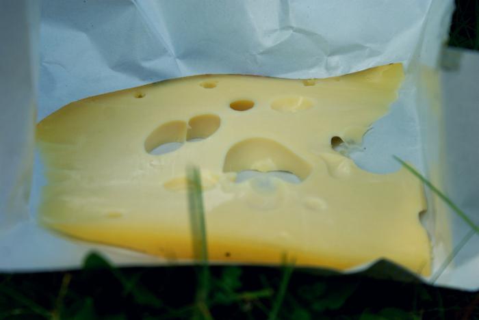 сыр маасдам производитель