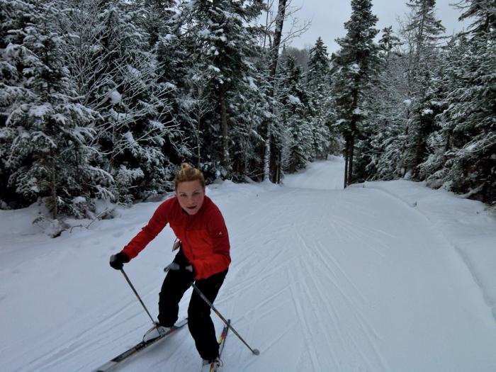 Как выбрать лыжи для конькового хода от классики 