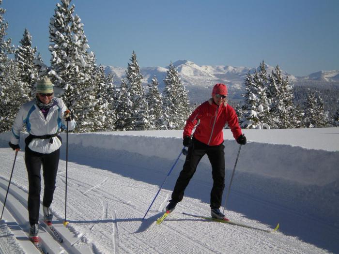 как выбрать лыжи для конькового хода fisher