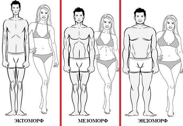 Как определить, кто ты — эктоморф, мезоморф или эндоморф: тест. Типы телосложения, фигур мужчин и женщин – эктоморф, мезоморф, эндоморф: отличительные особенности, фото. Соматотипы и особенности. Как узнать свой тип телосложения