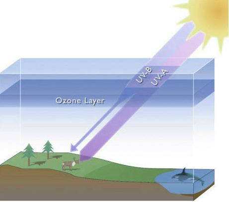 проблема озонового слоя