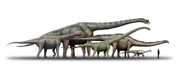 фото самого большого динозавра