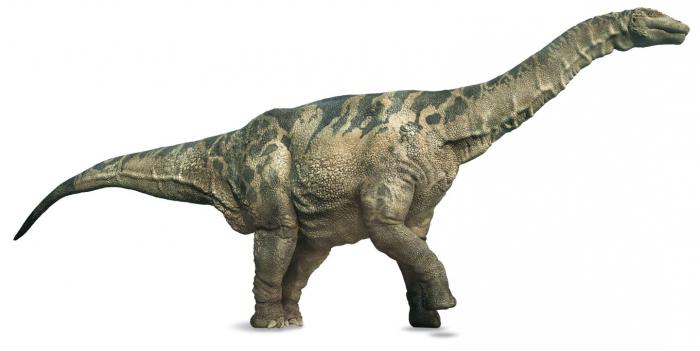самый большой динозавр