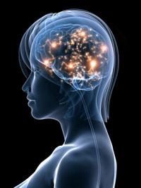 витамины для мозга и памяти 