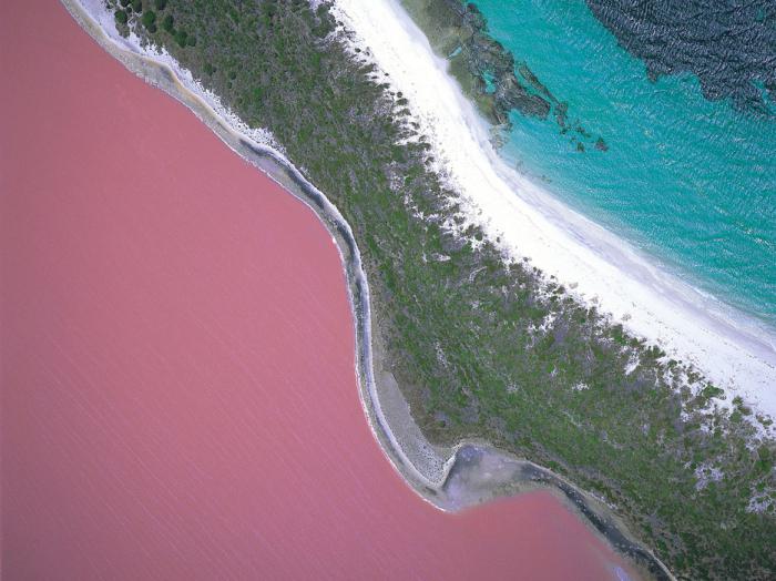 розовое озеро хиллер