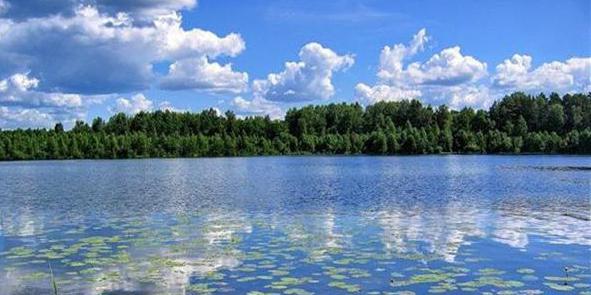 нижегородское озеро светлояр 