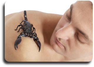 Знак зодиака скорпион мужчина характеристика