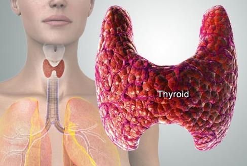 Лечение увеличенной щитовидной железы