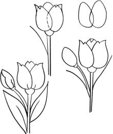 Как нарисовать тюльпаны. Инструкция для тех, кто только начинает рисовать