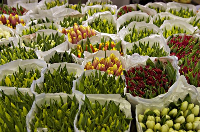 рижский рынок цветов фото