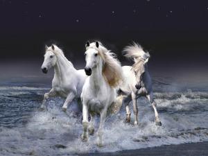 что означает сон белая лошадь