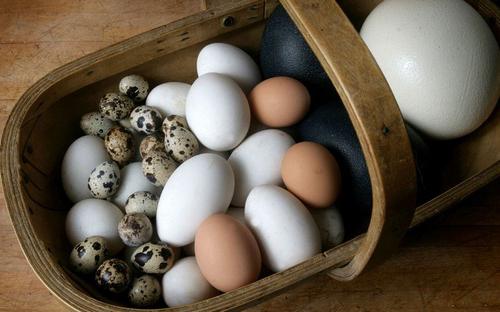 срок хранения перепелиных яиц в холодильнике