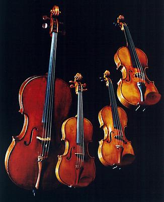 музыкальные инструменты скрипка