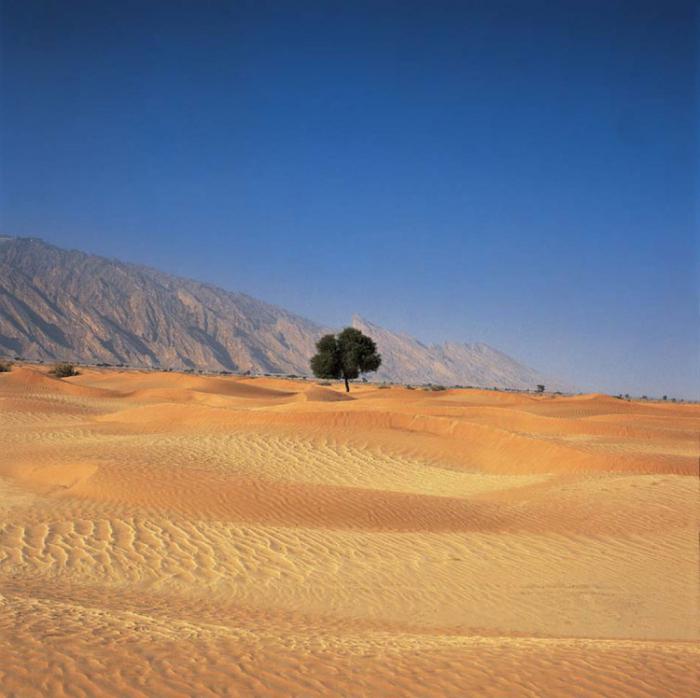 пустыня аравийского полуострова