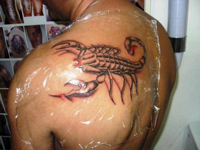 значение татуировок скорпион 