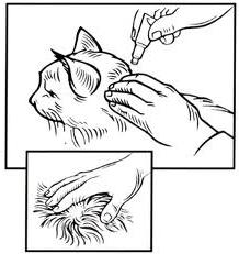 стронгхолд для кошек инструкция 