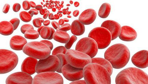 что повышает гемоглобин в крови 