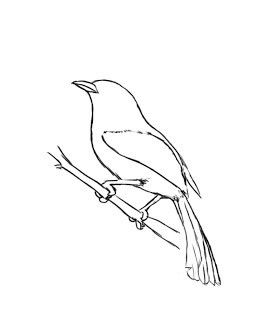 как рисовать птиц на руке