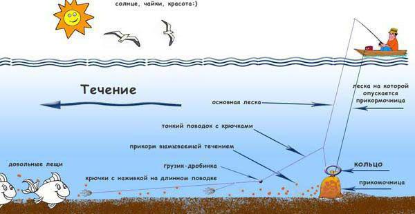 Ловля на кольцо с берега и с лодки :: SYL.ru