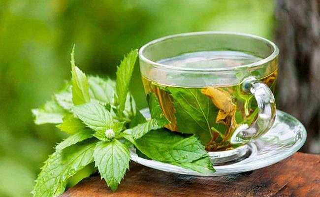 Ферментированный чай из листьев малины и смородины польза thumbnail