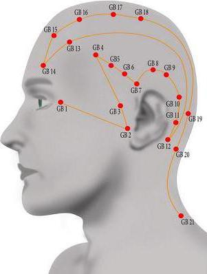точки акупунктуры на голове