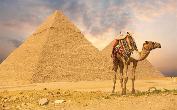 отдых в египте в июле отзывы туристов