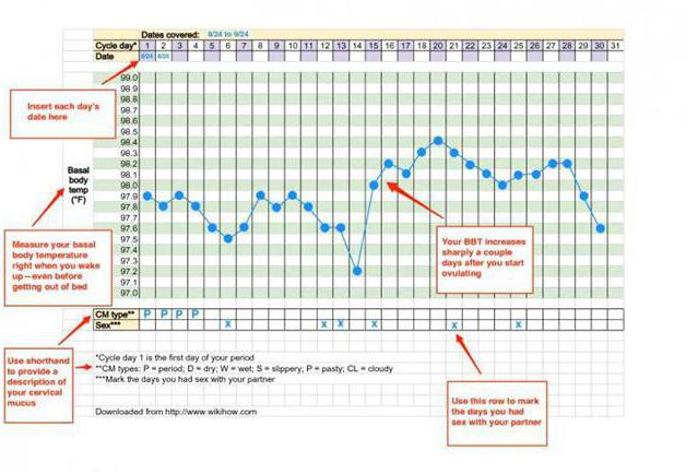 График базальной температуры