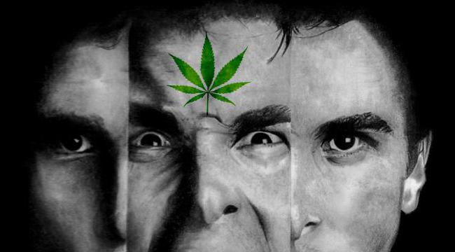 Шизофрения у курящих марихуану за наркотики какая уголовная статья