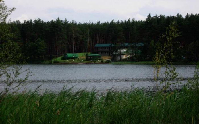 белое озеро рязанская область фото