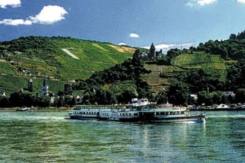 река Рейн