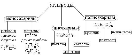 классификация углеводов схема