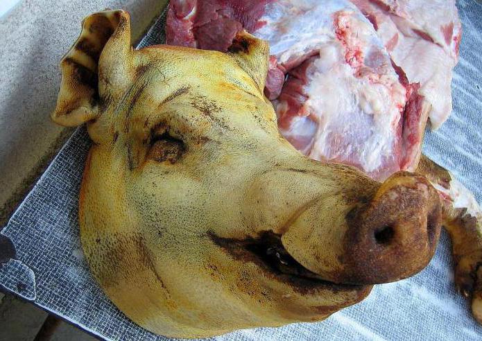  как правильно зарезать свинью 