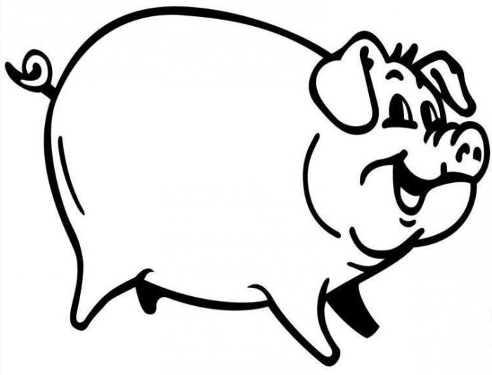Особенности забоя и разделки туши свиней: инструкции