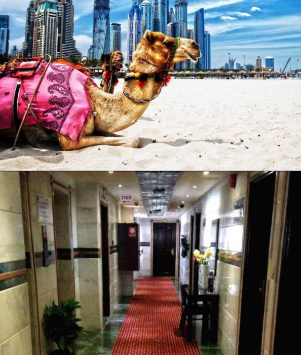 syaj hotel 2 отзывы