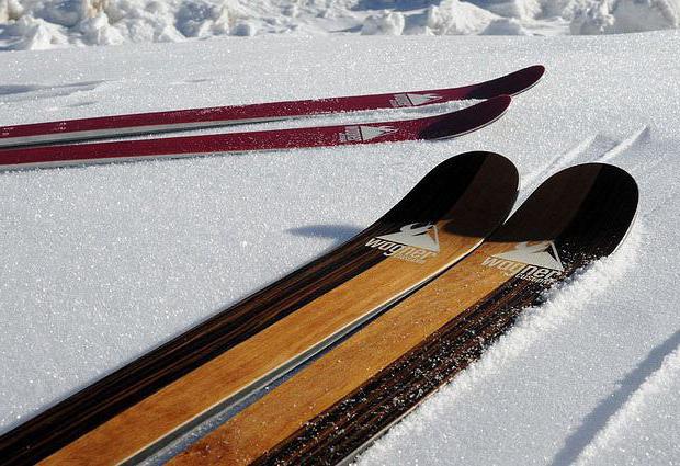 как подобрать охотничьи лыжи