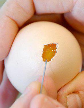 польза сырого яйца натощак