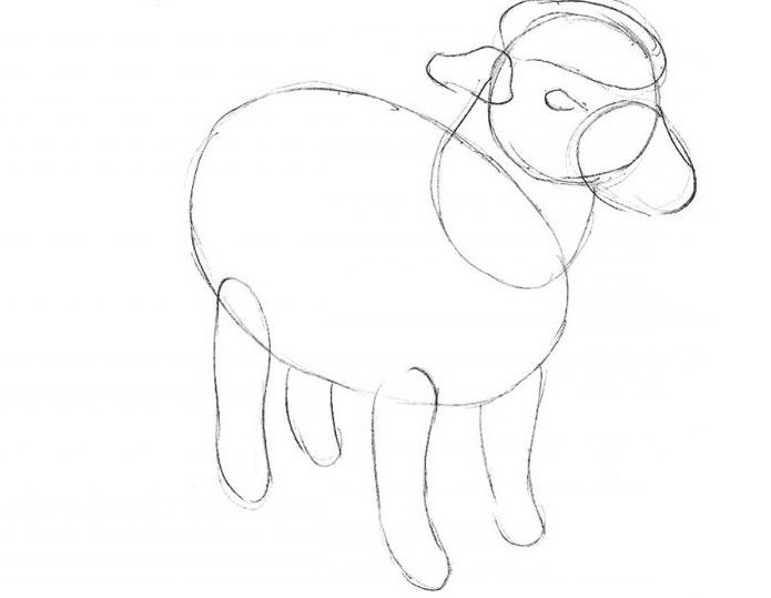 как нарисовать овечку карандашом поэтапно для начинающих детей 5 6 лет