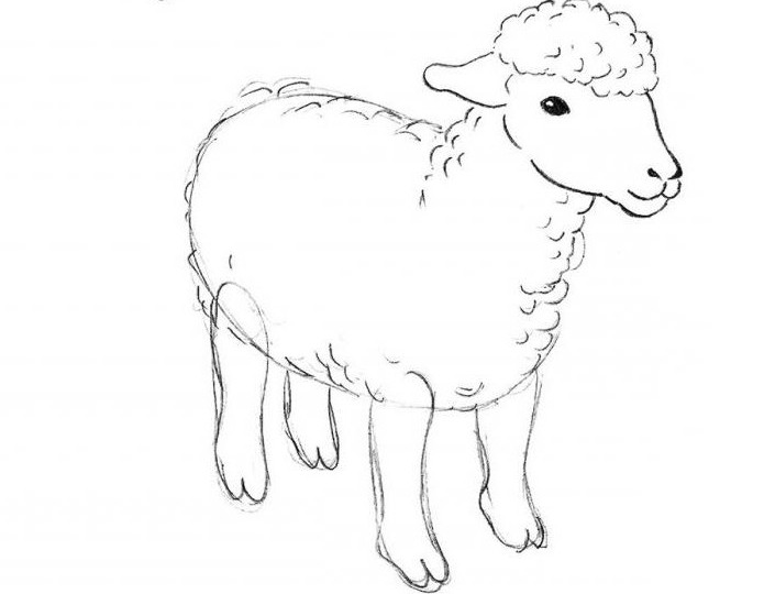 как нарисовать овечку карандашом поэтапно для начинающих детей 5 6 лет