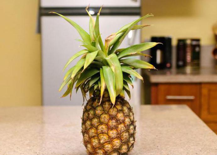 как хранить ананас в холодильнике