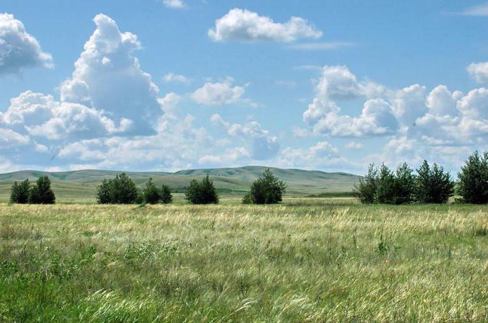 заповедник оренбургский