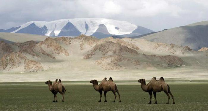 монголия население