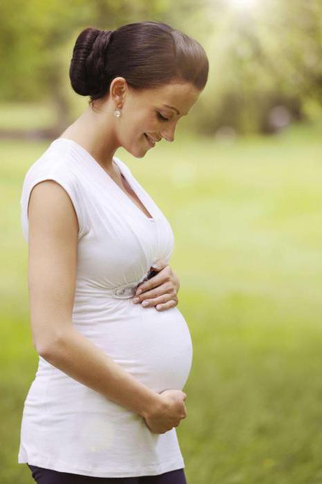 сроки проведения второго скрининга при беременности обследование